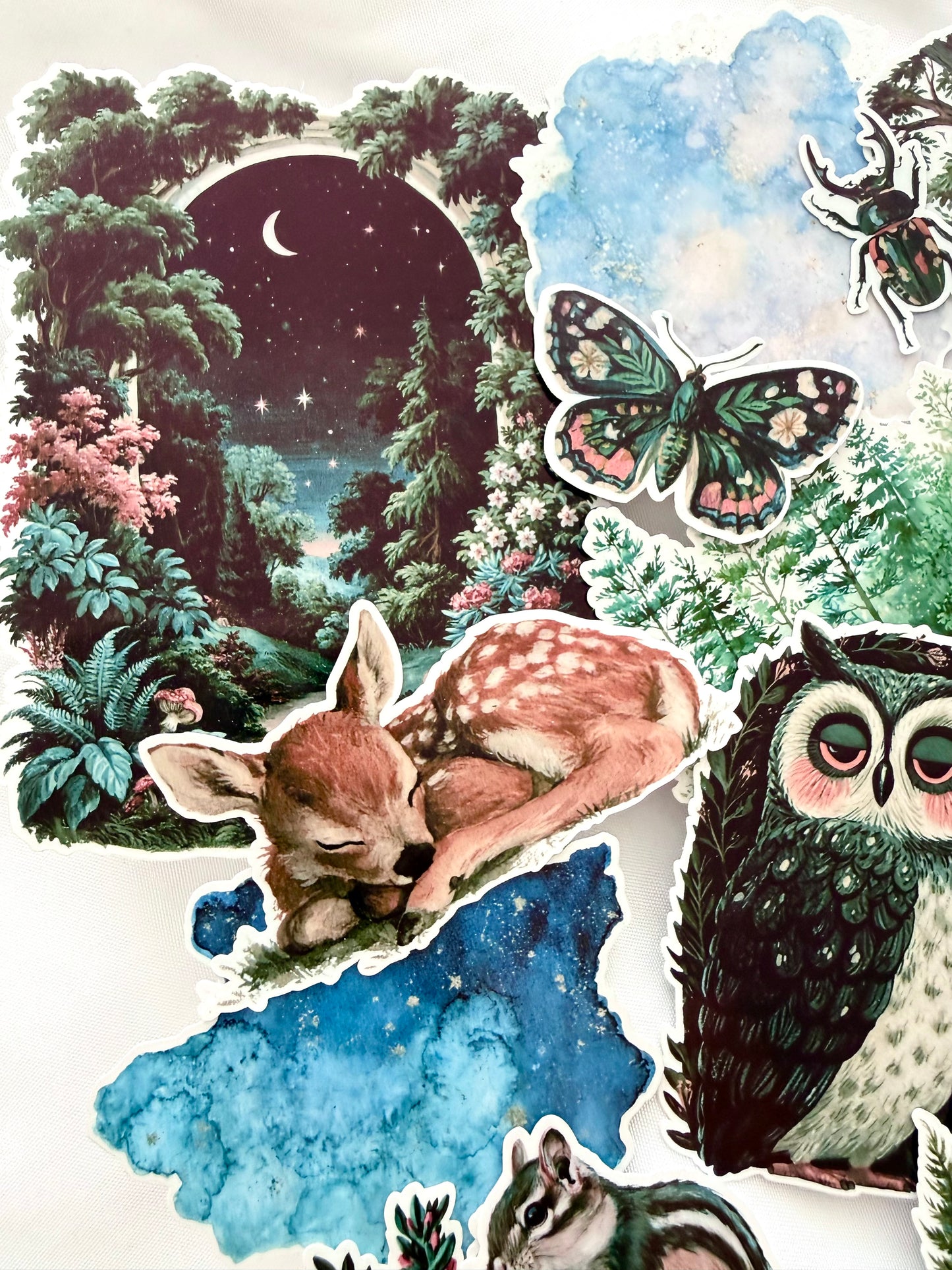 Woodland Creatures Sticker Set